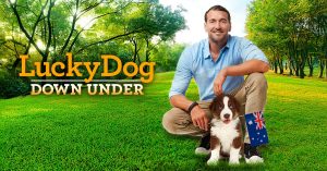 Lucky Dog franchise