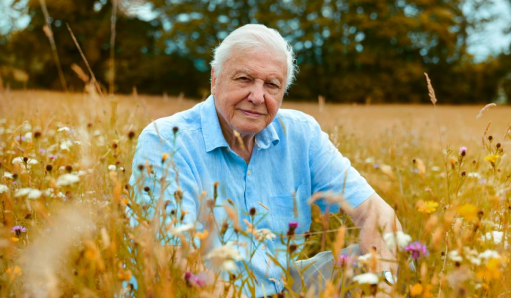 David Attenborough